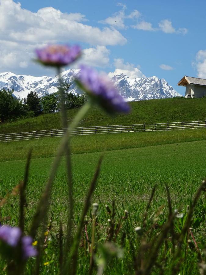 Alpapart - Innsbruck